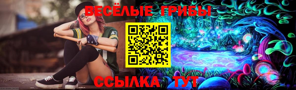 Чебоксары  Галлюциногенные грибы Cubensis  Вход с VPN 